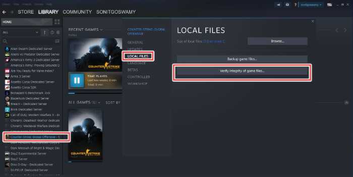 steam library local files